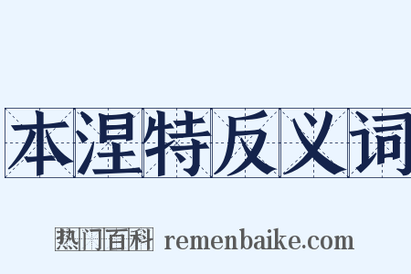 本涅特反义词是什么意思的图片